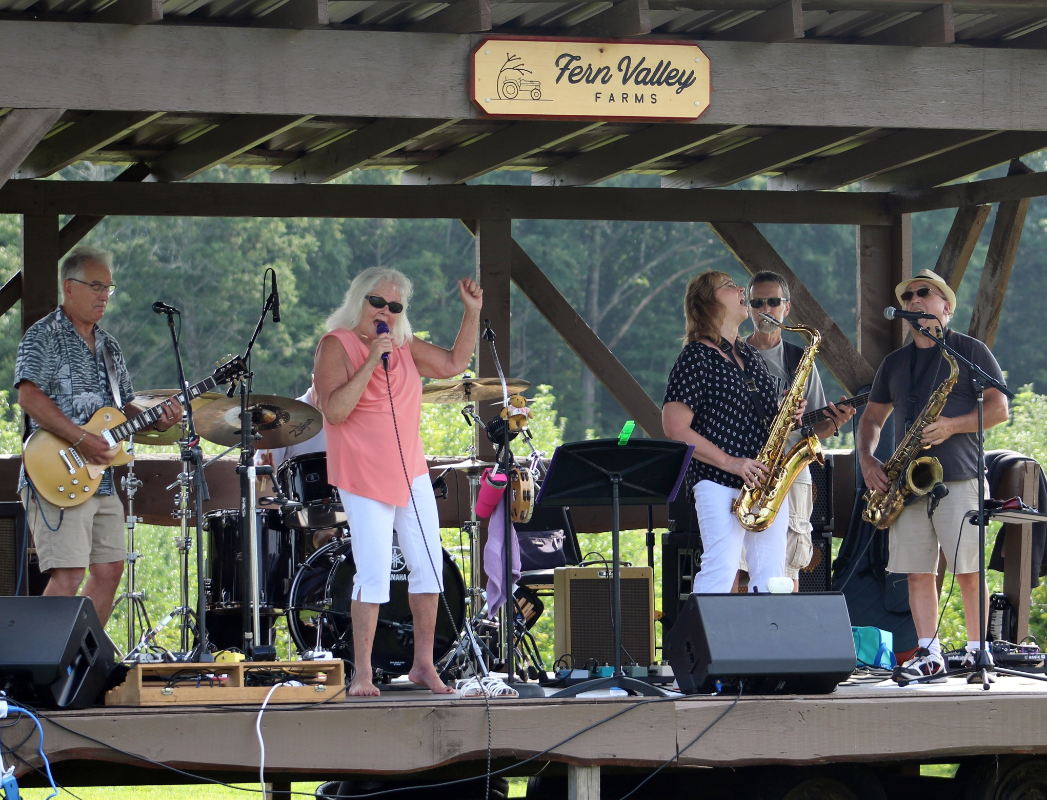 Six Pack of Blues at the Shelterfest 2024